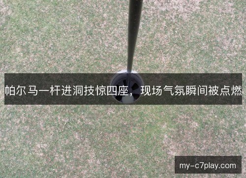帕尔马一杆进洞技惊四座，现场气氛瞬间被点燃